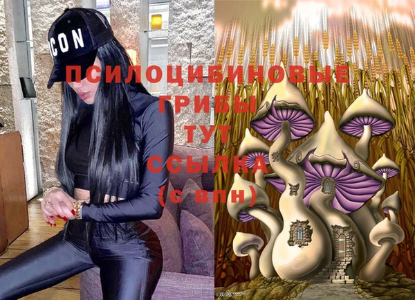 таблы Пересвет