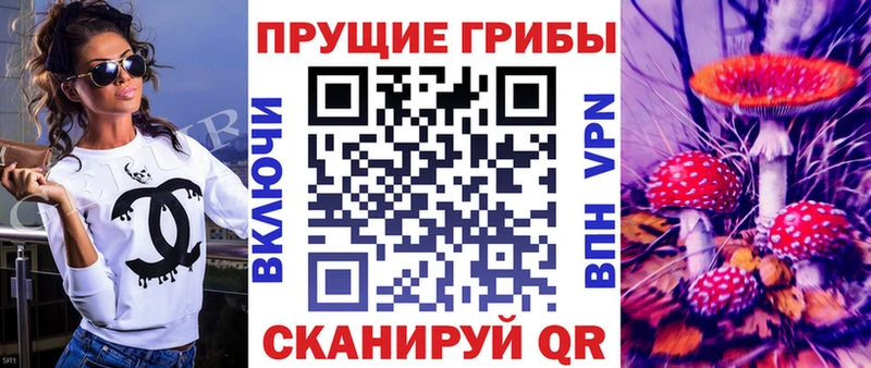 Галлюциногенные грибы Psilocybine cubensis  shop какой сайт  Жуковский 